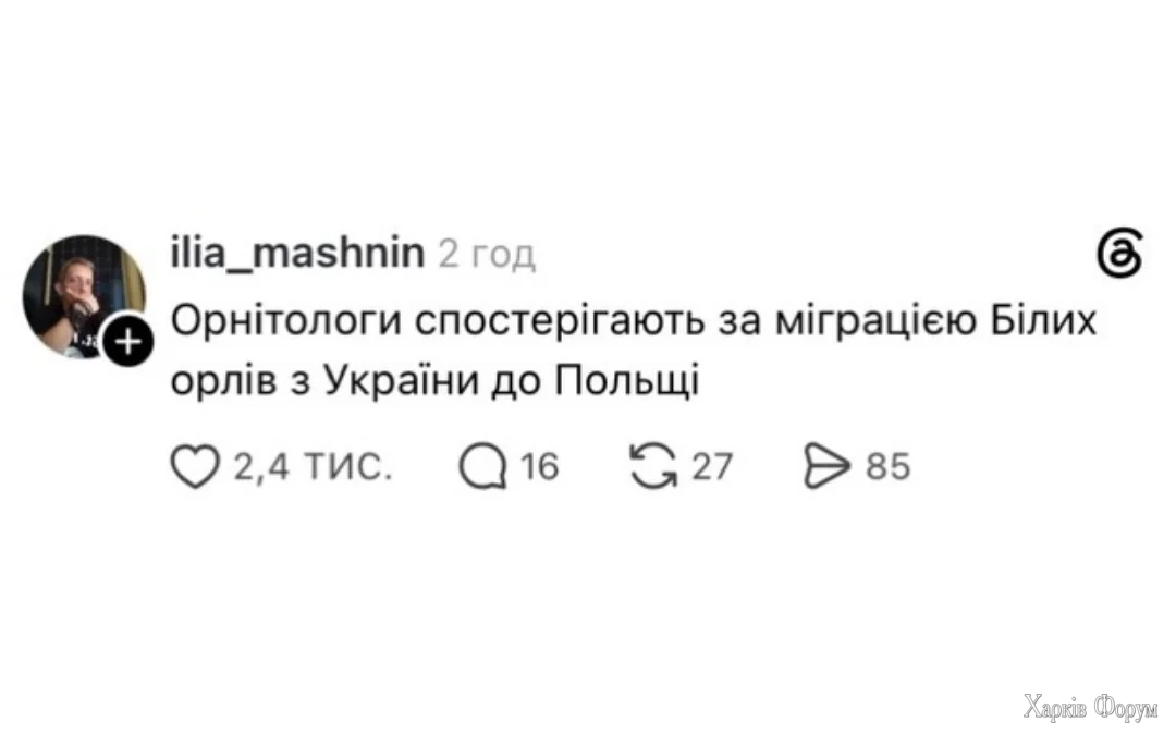 1000039988.webp