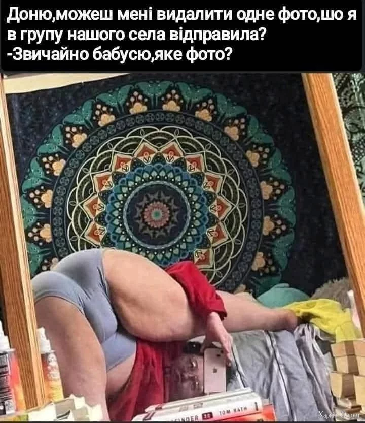 1000040066.webp