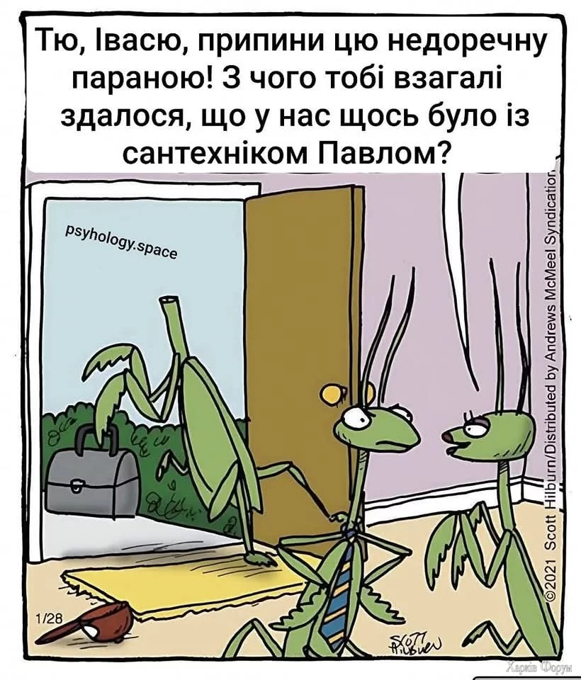 1000040143.webp