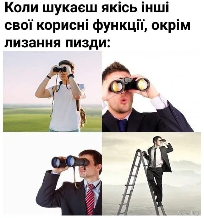 1000040389.webp