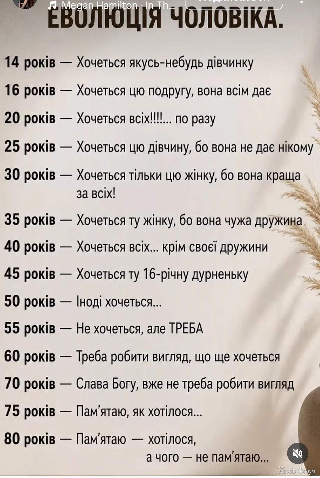 1000040413.webp