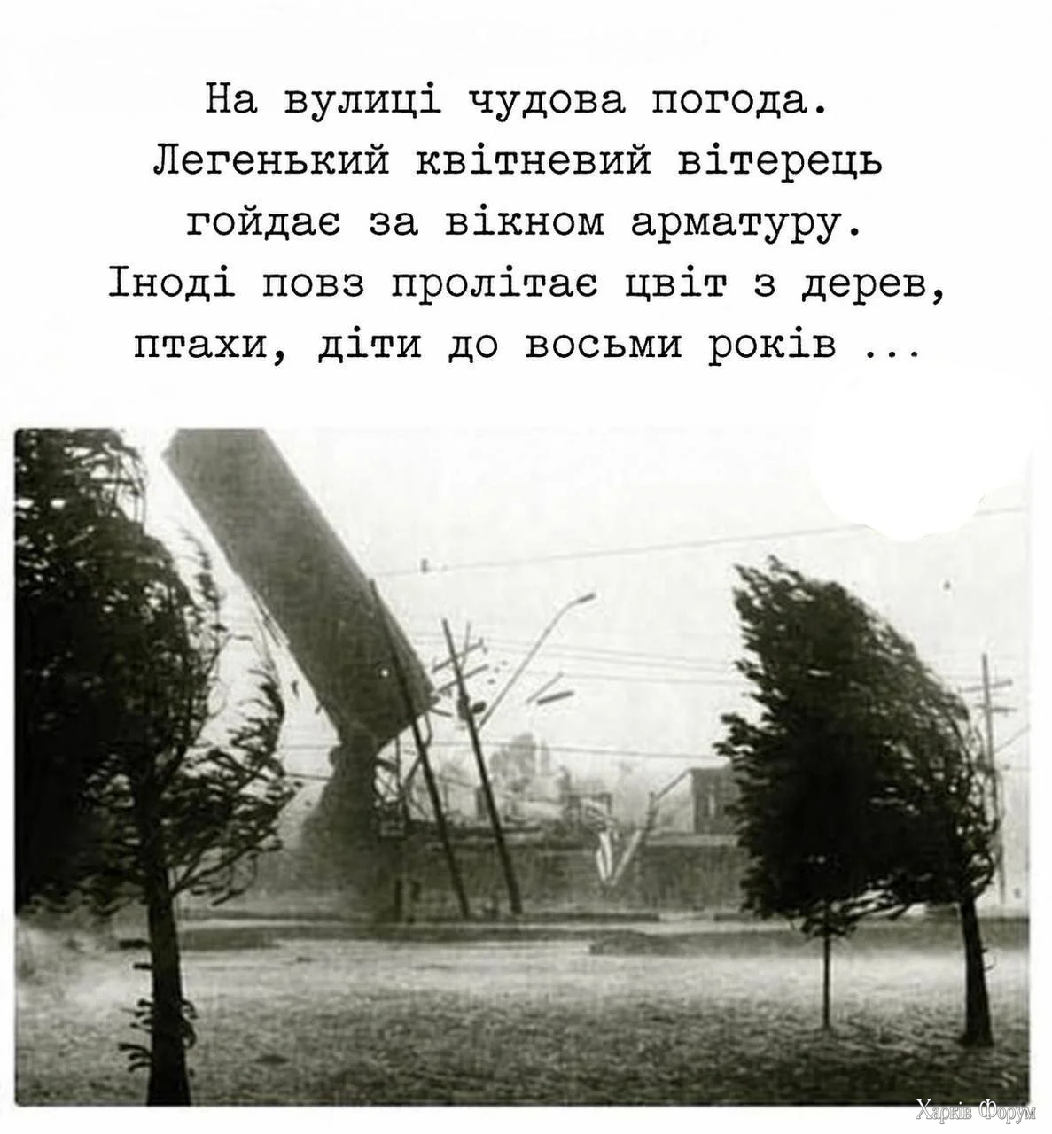 1000040534.webp