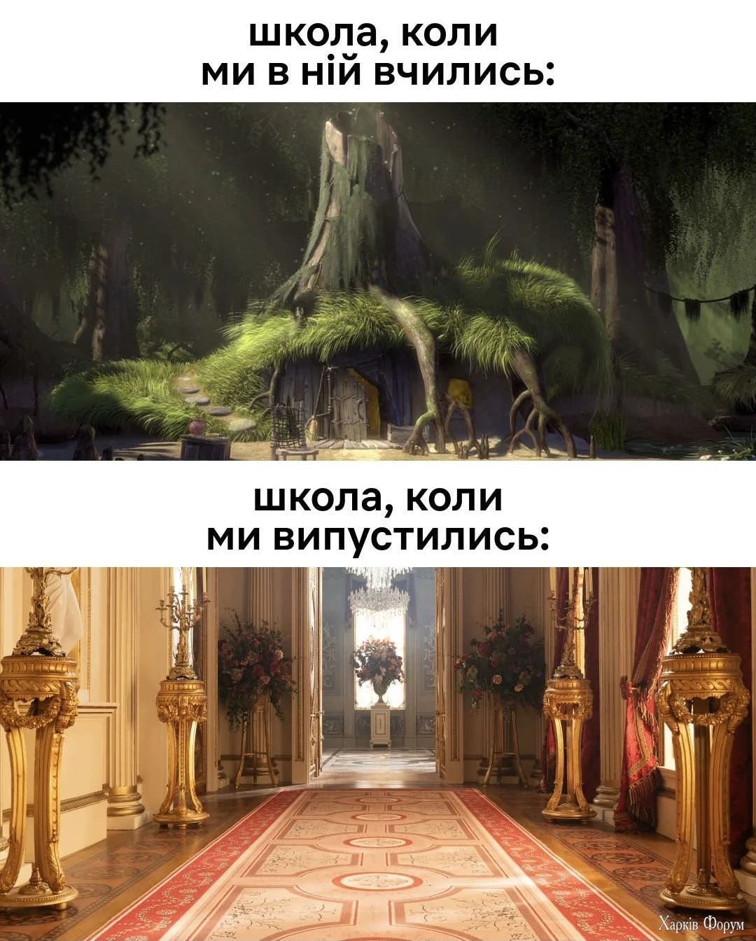 1000042196.webp