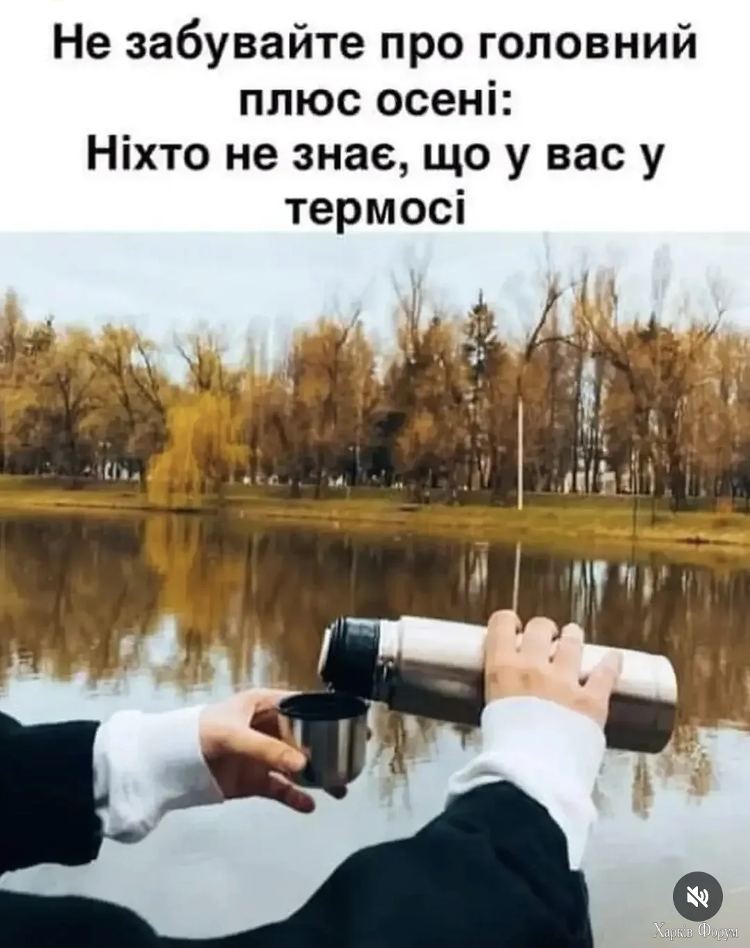1000042523.webp