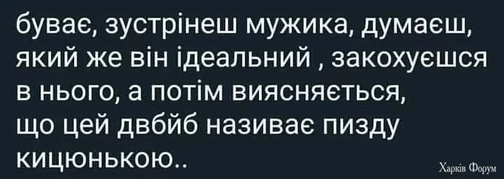 1000043124.webp