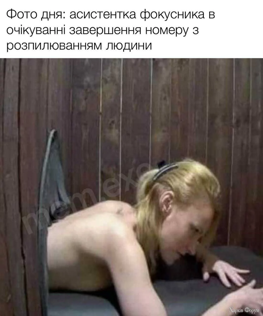 1000043125.webp
