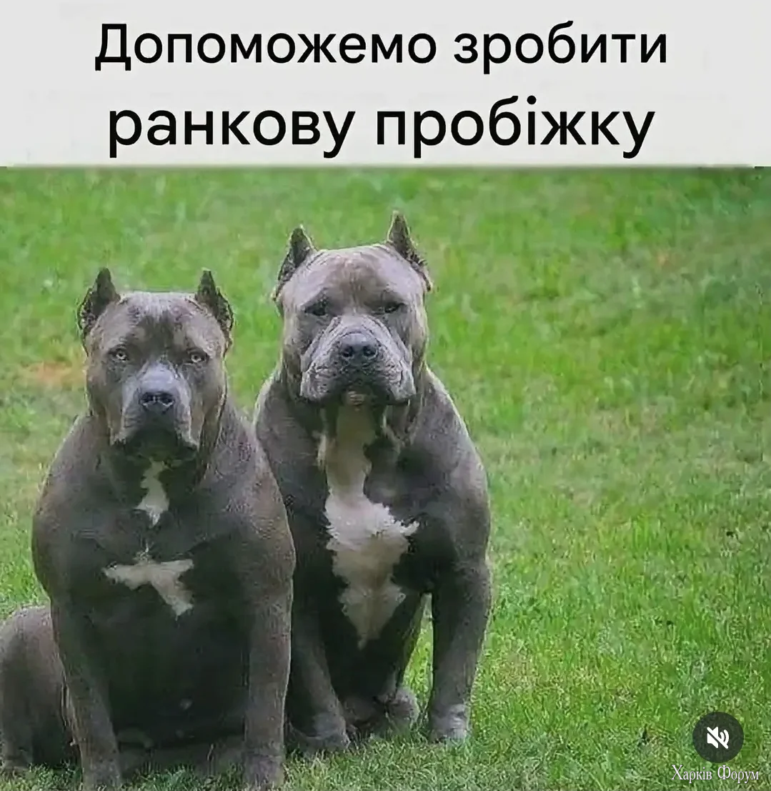 1000043358.webp