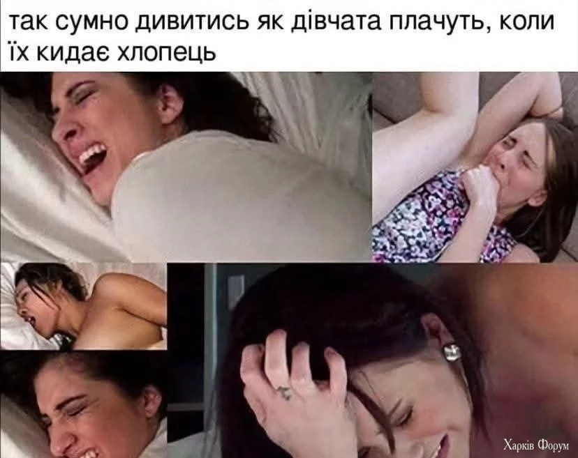 1000043437.webp