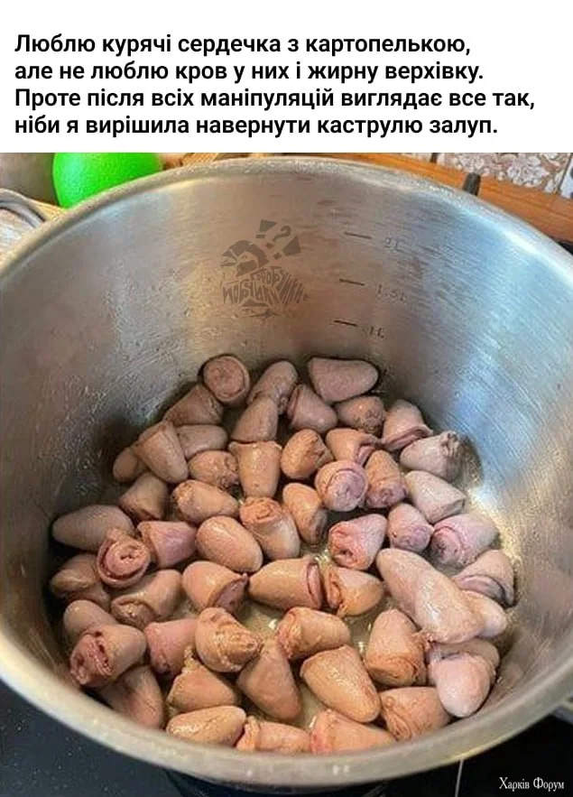 1000043504.webp