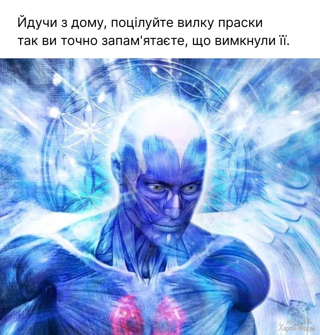 1000043506.webp