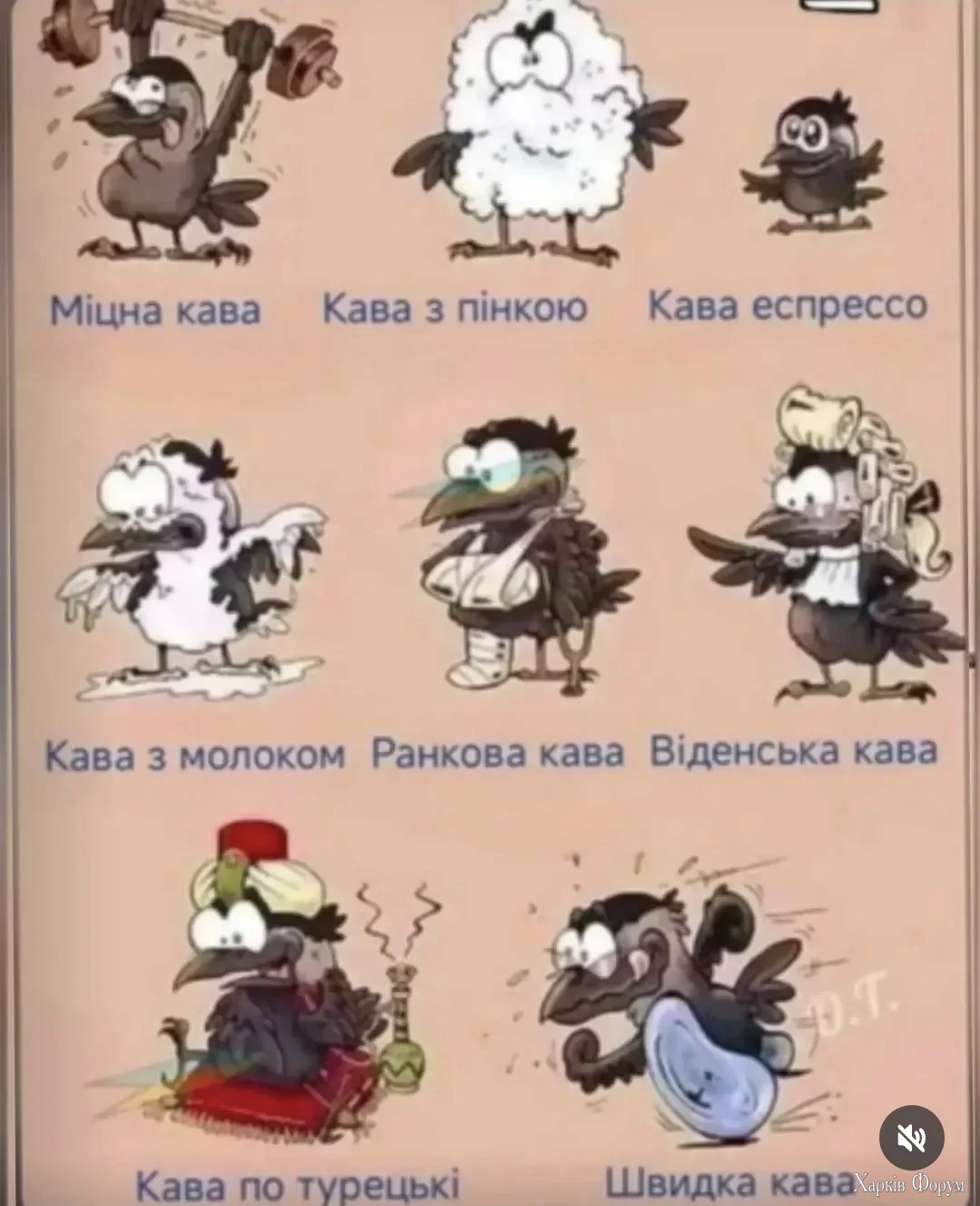 1000043544.webp