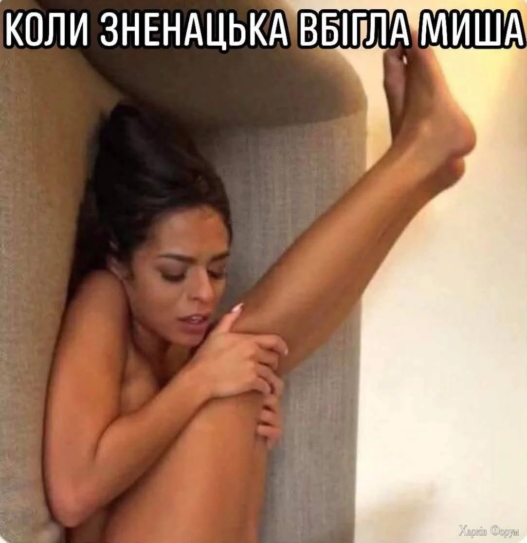 1000043575.jpg