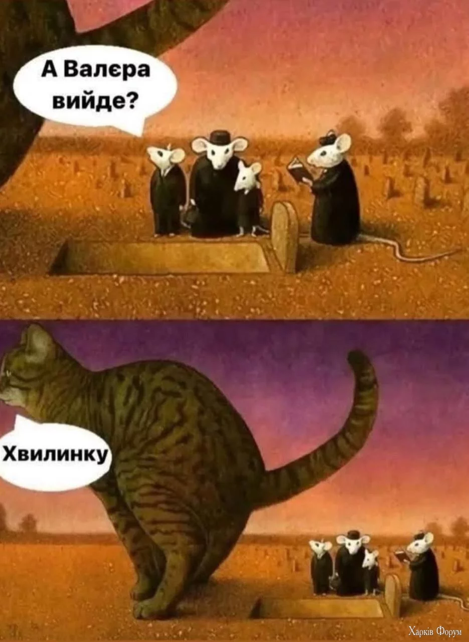 1000043804.webp