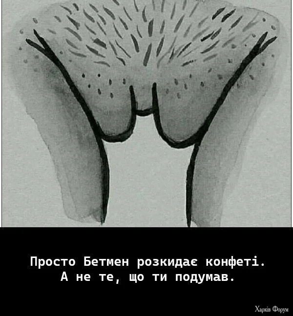 1000044565.webp