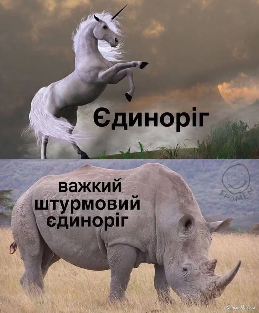1000044734.webp