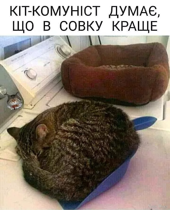 1000044818.webp