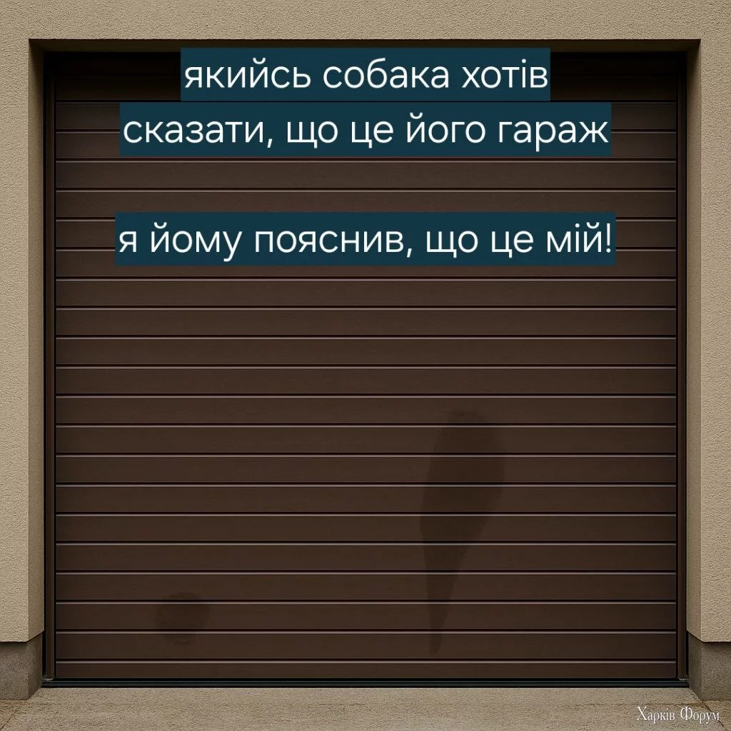 1000044914.webp