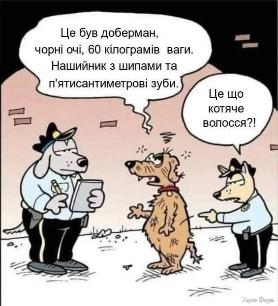 1000044915.webp