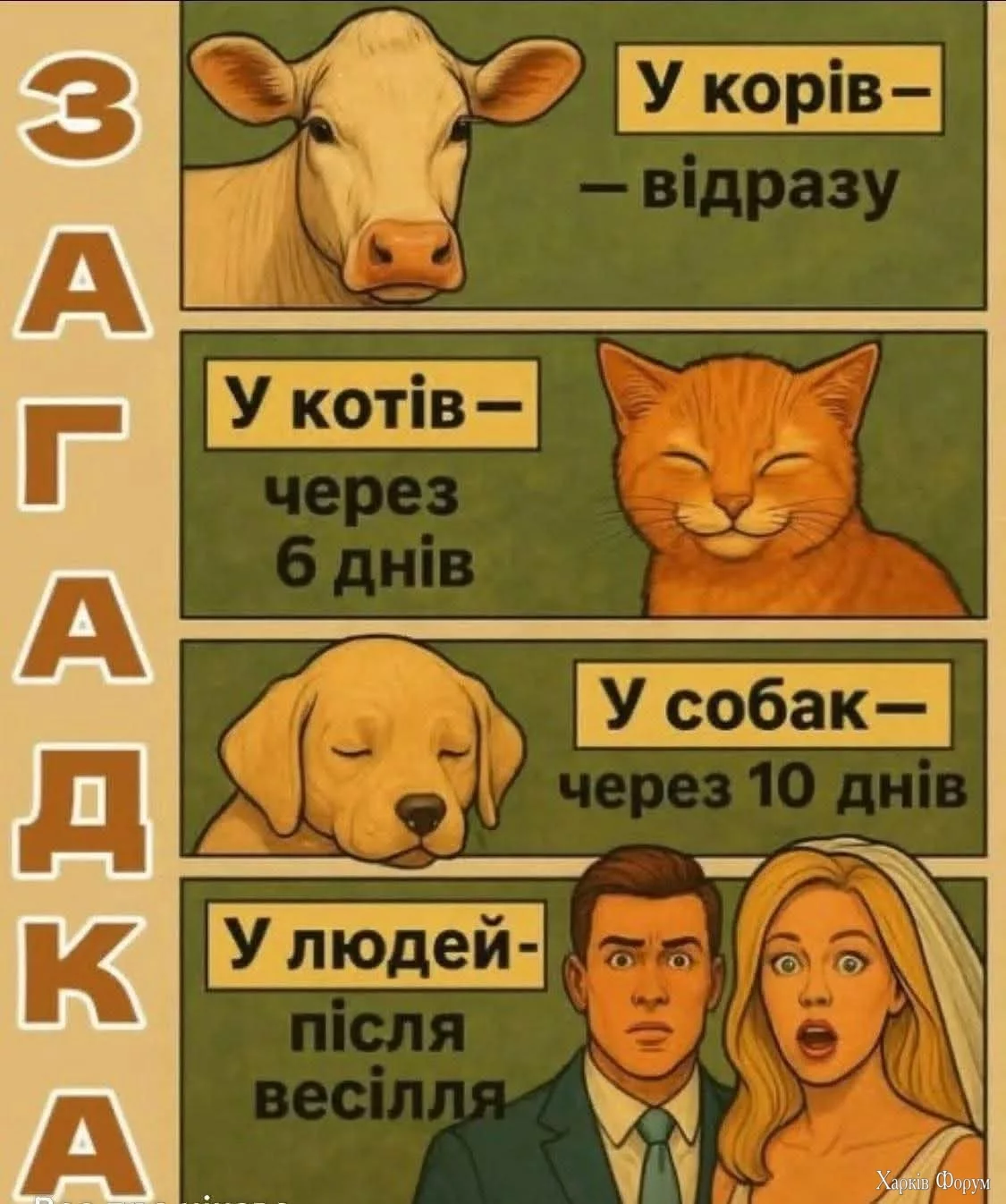 1000045232.webp