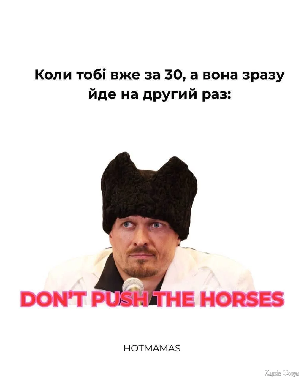 1000045479.webp