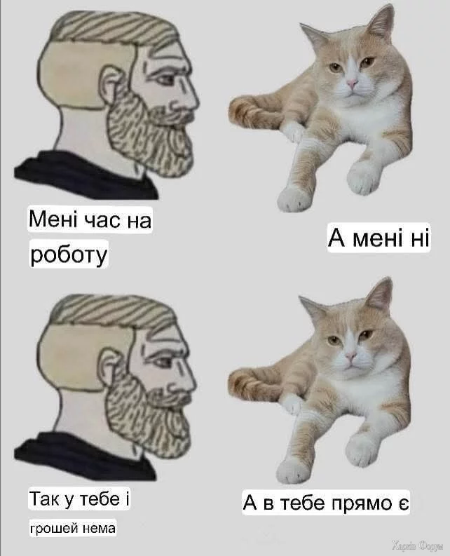 1000045480.webp