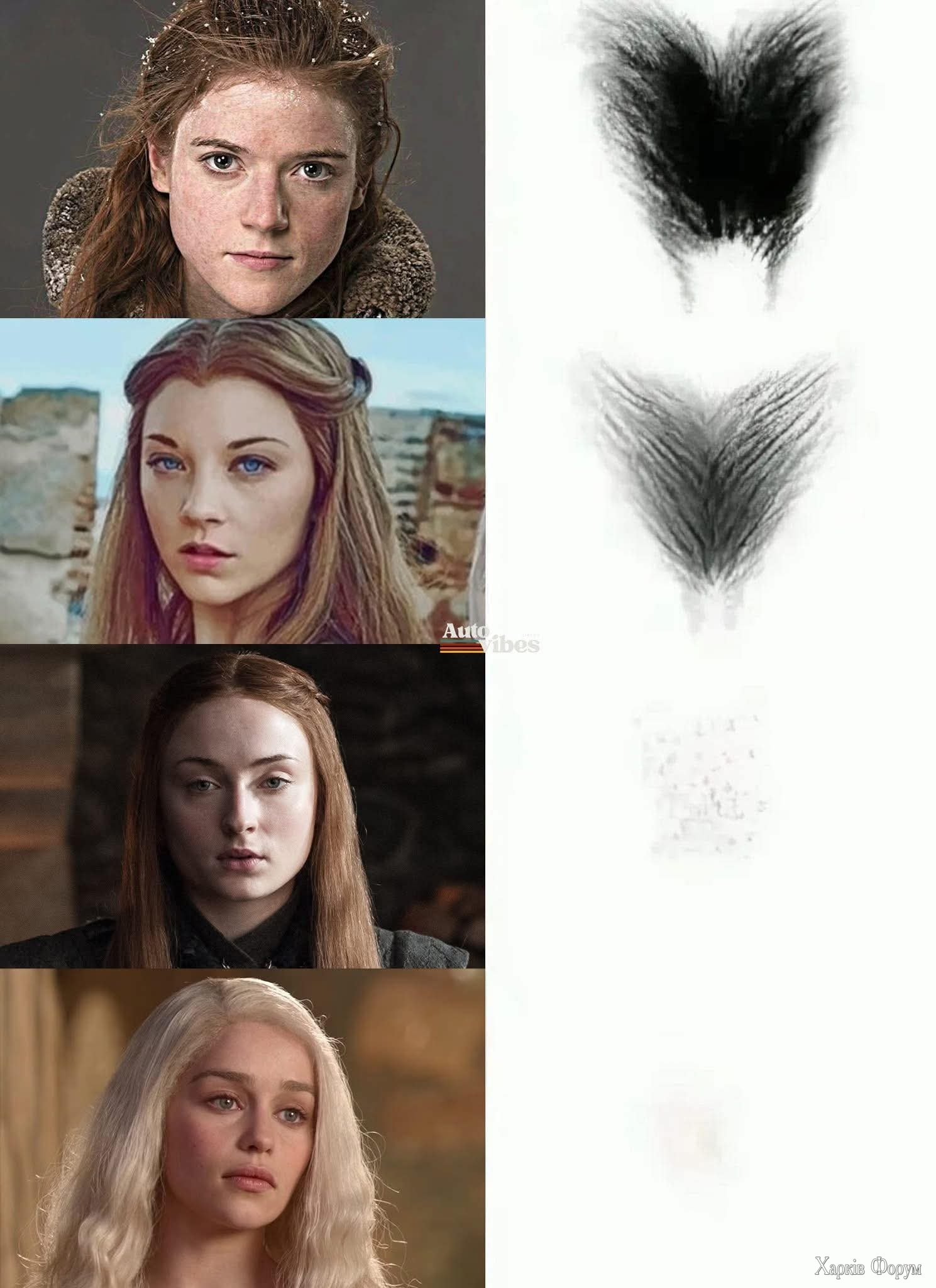 1000045737.jpg