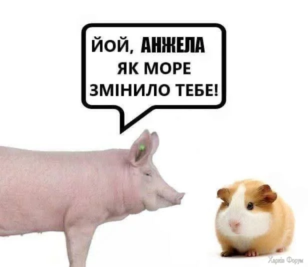 1000045822.webp