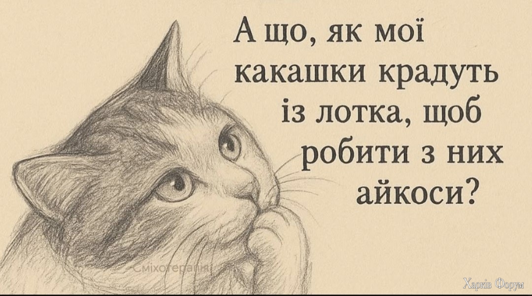 1000045873.jpg