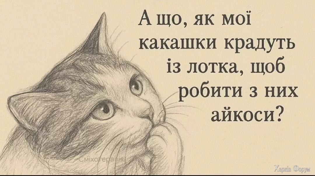 1000045873.webp