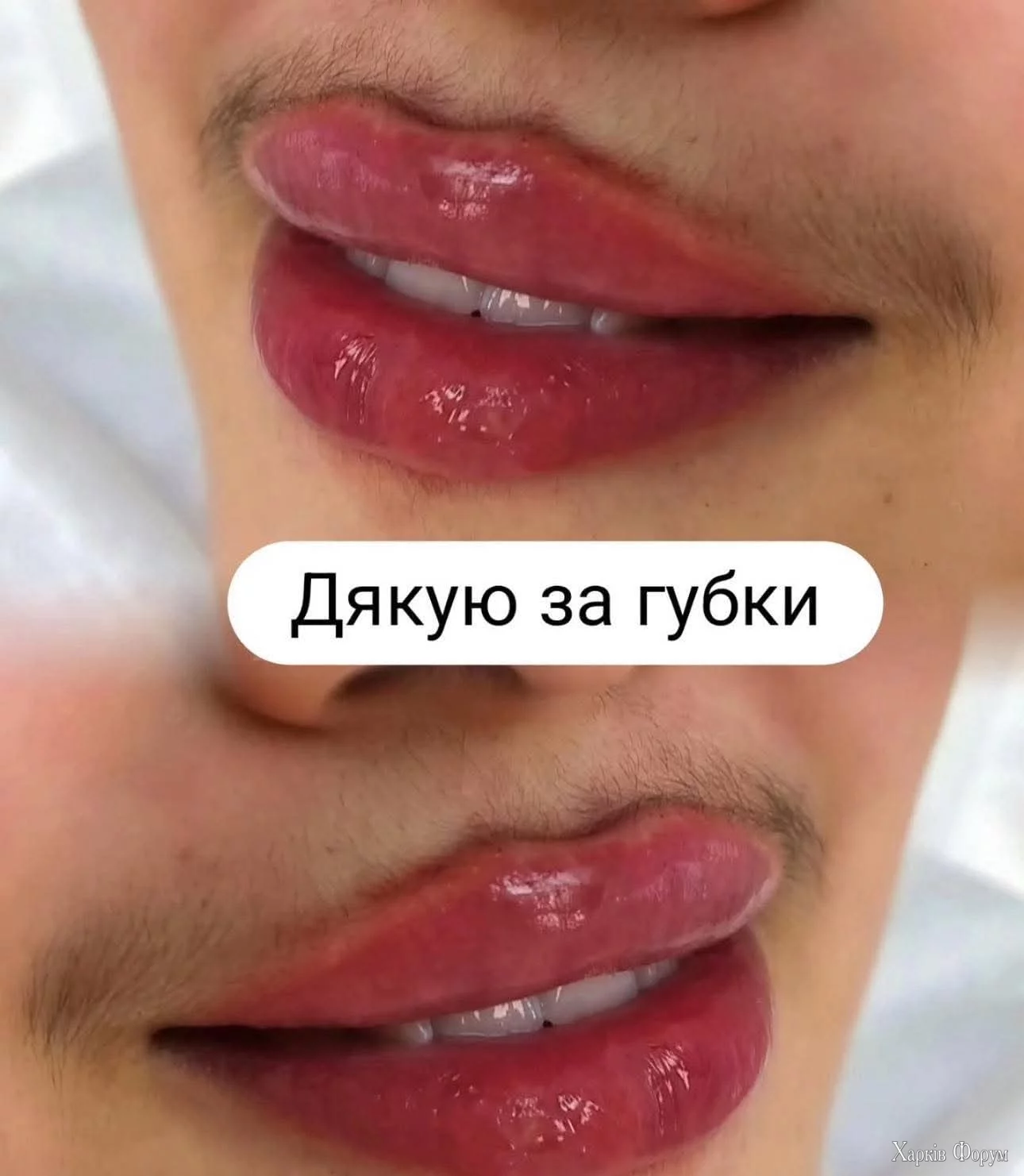 1000045919.webp