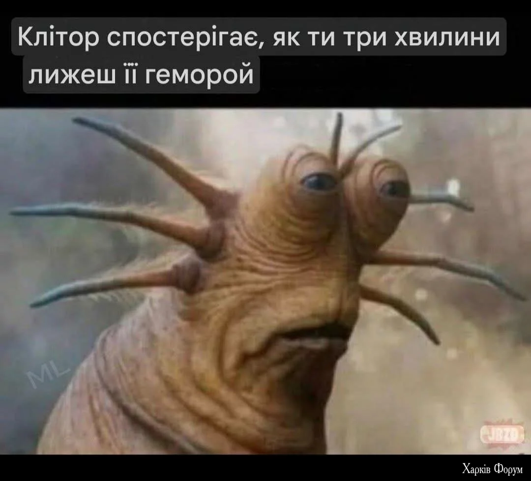 1000046018.webp