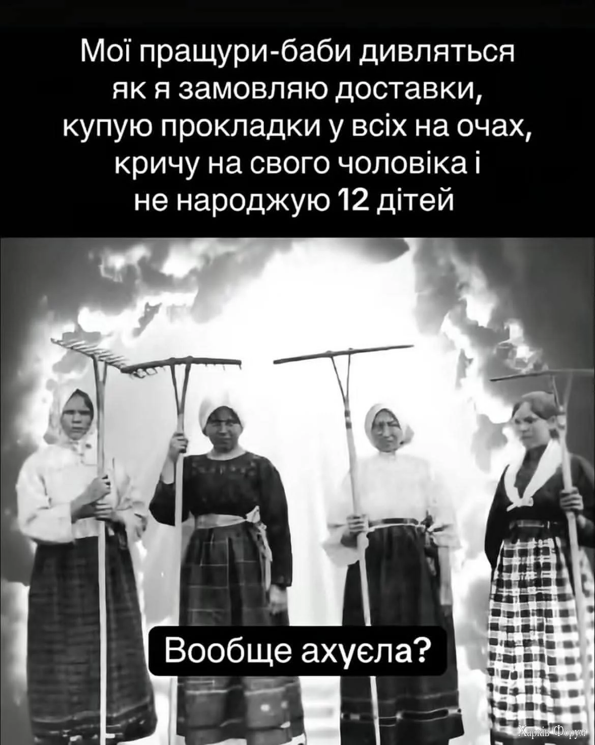 1000046026.webp
