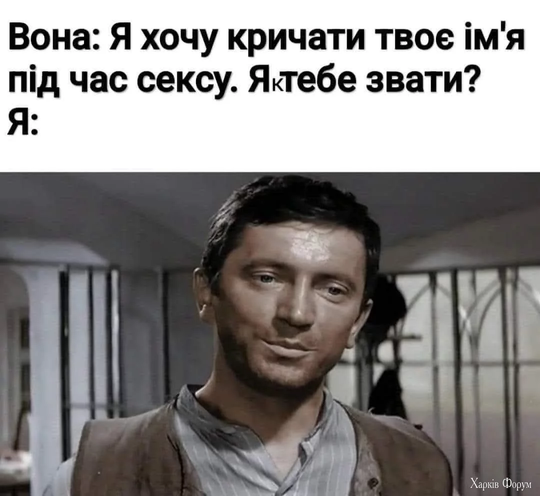 1000046331.webp