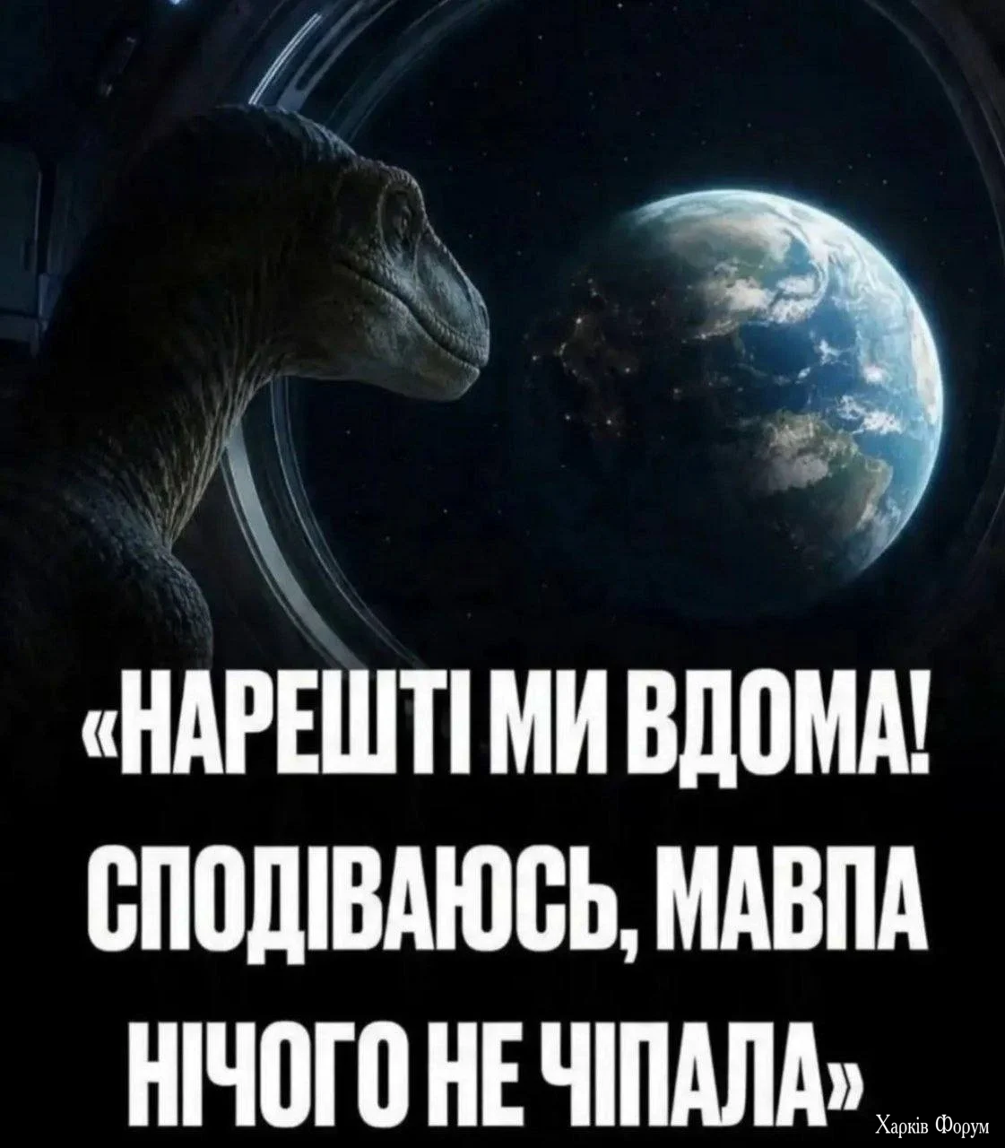 1000046431.webp