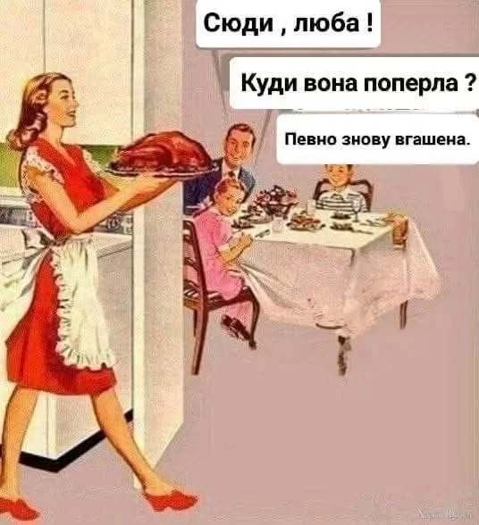 1000046442.webp
