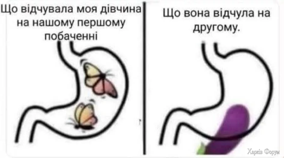 1000046547.webp