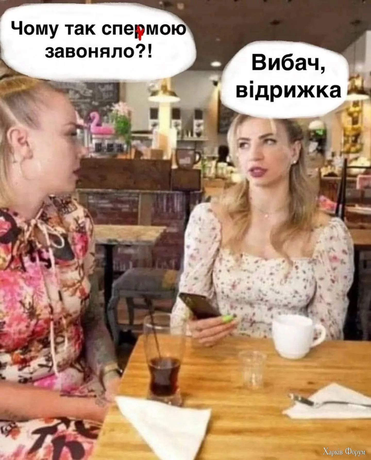 1000046557.webp