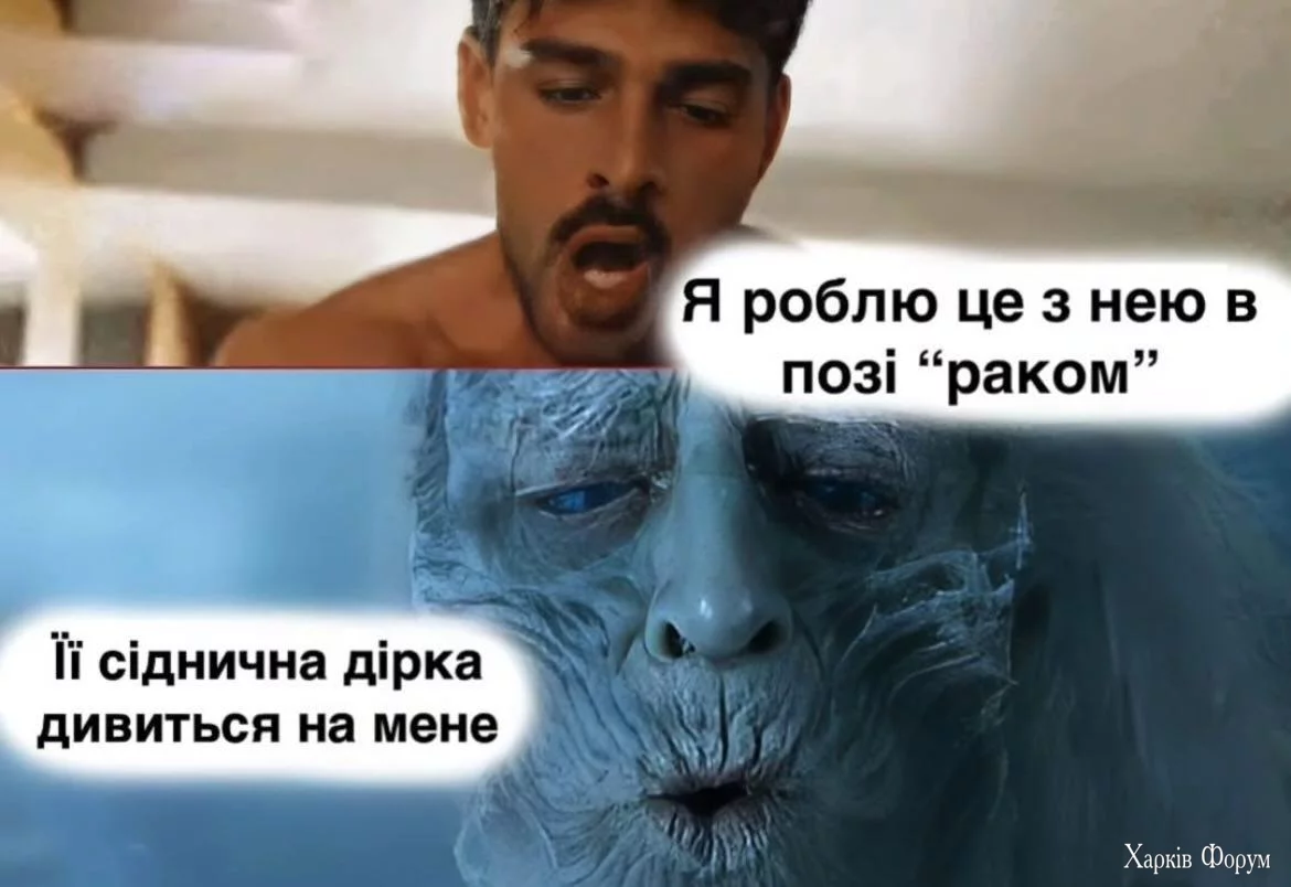 1000046697.webp