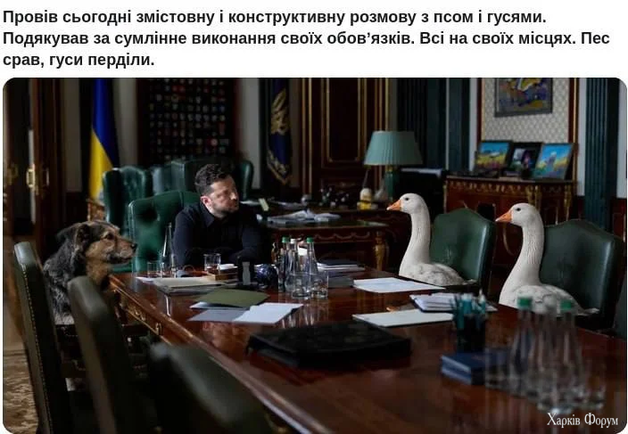 1000047748.webp