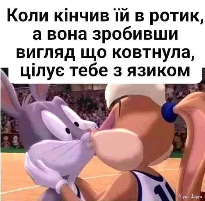 1000047768.webp