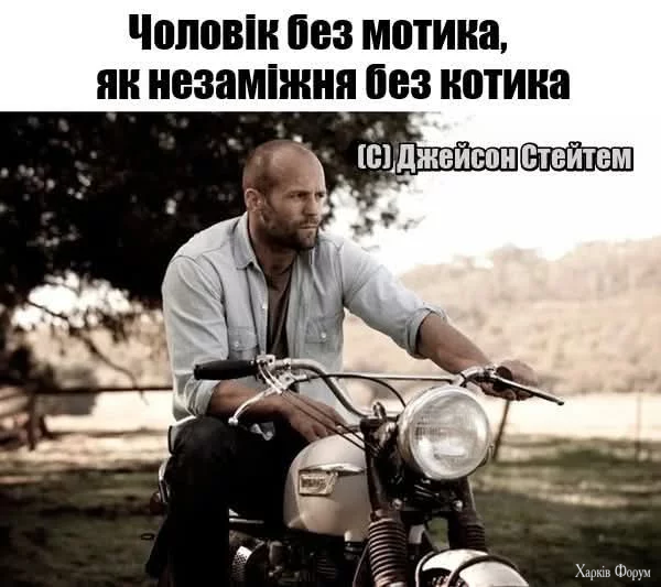 1000048249.webp