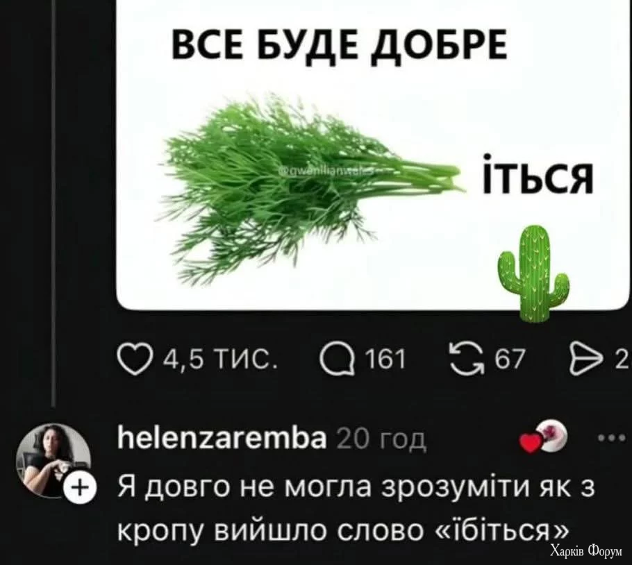 1000048657.webp
