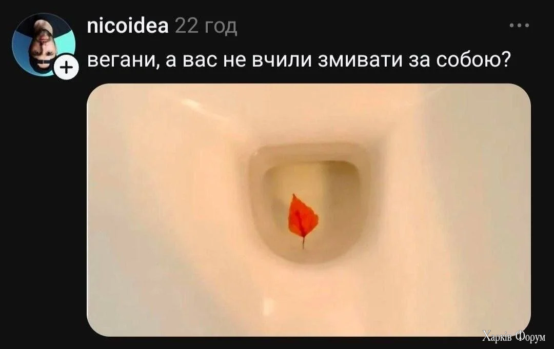 1000048756.webp