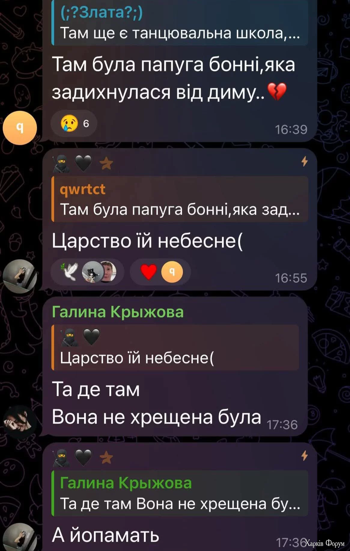 1000048764.webp