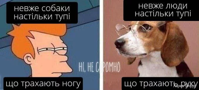 1000048916.webp