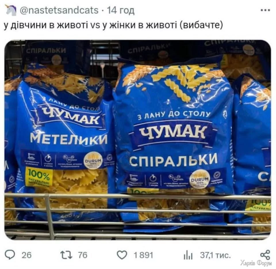 1000049026.webp