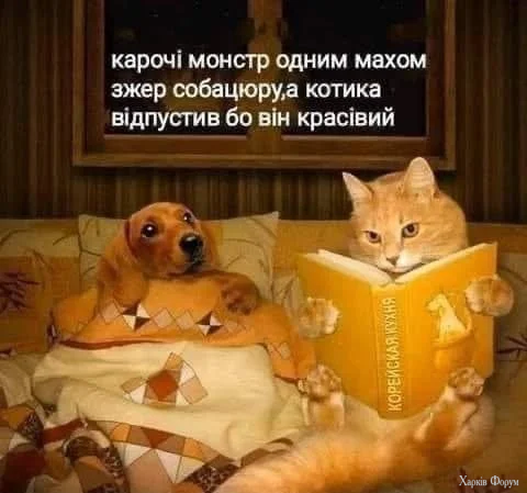 1000049043.webp