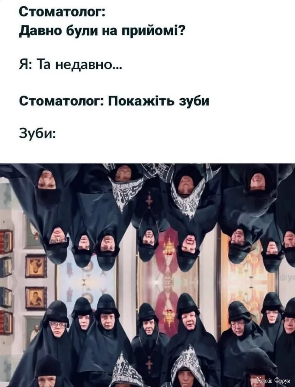 1000049377.webp