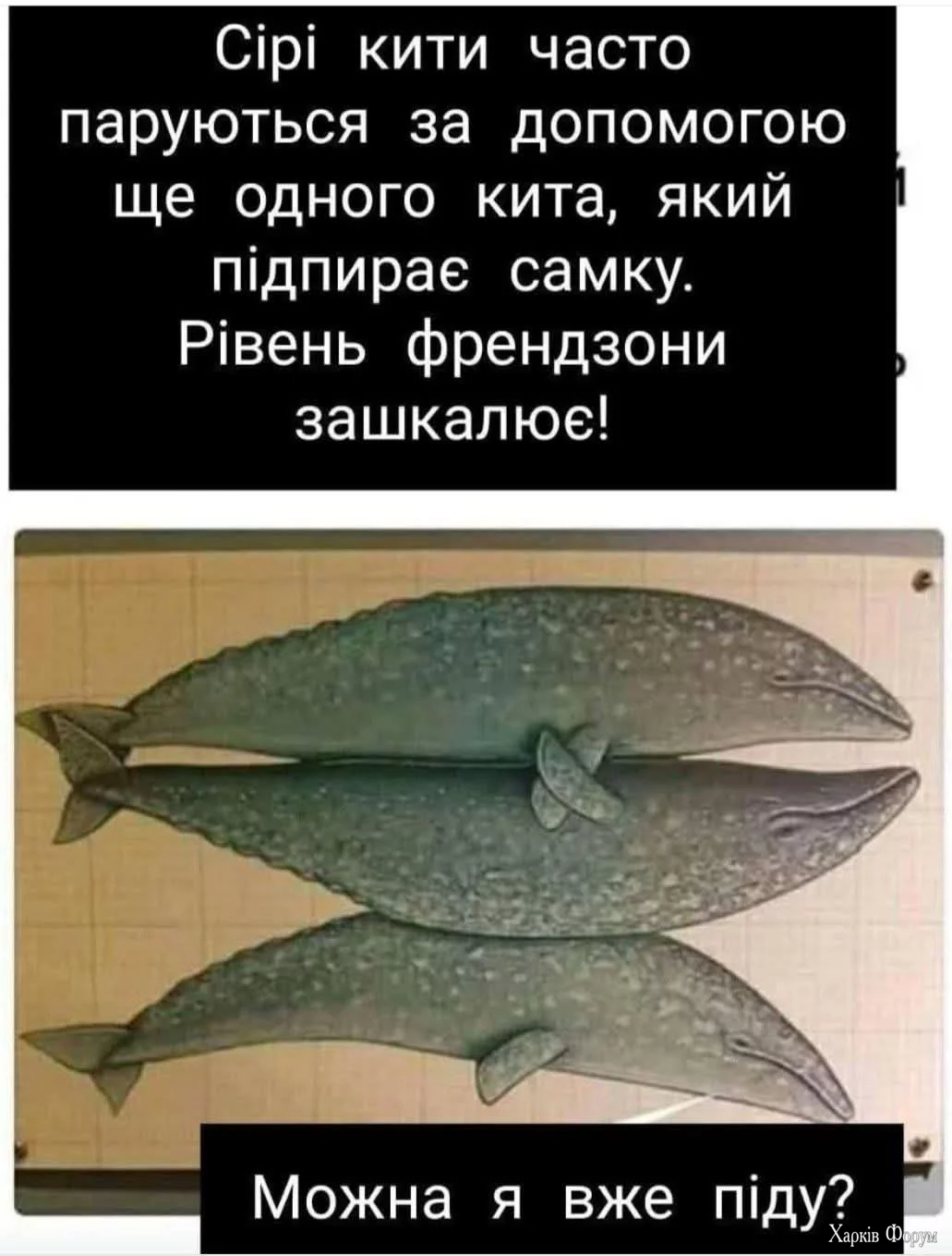 1000049692.webp