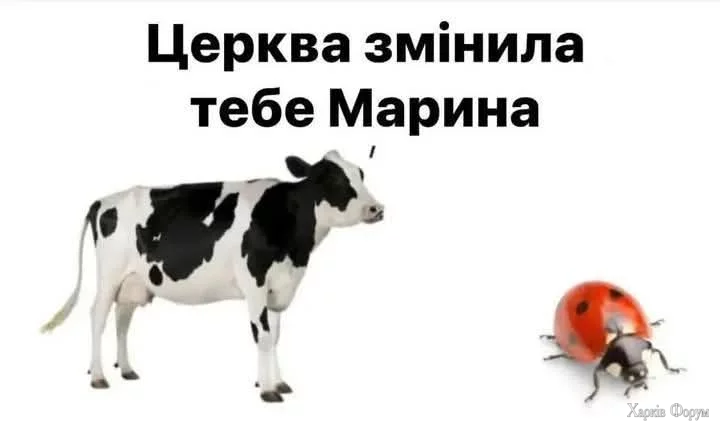 1000049766.webp